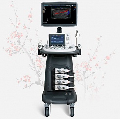 Ультразвуковой сканер Sonoscape S20